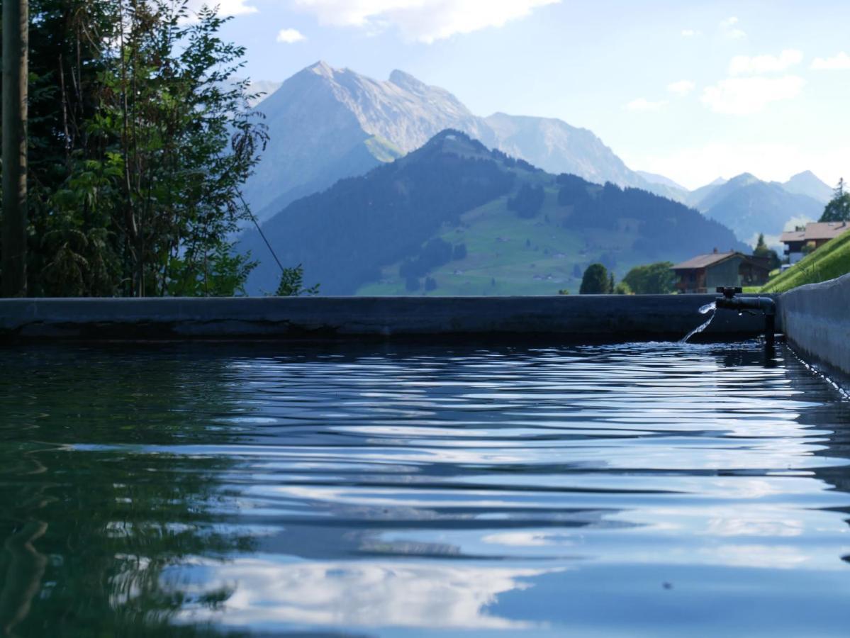Sonnenheim, Mit Panoramafenster Adelboden